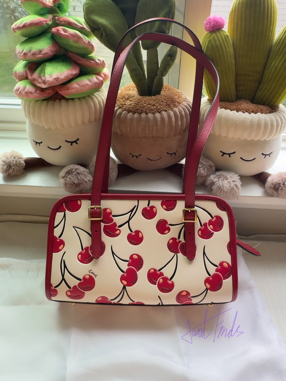 NWOT 🍒 COACH Originals Cherry Print Zip Bag